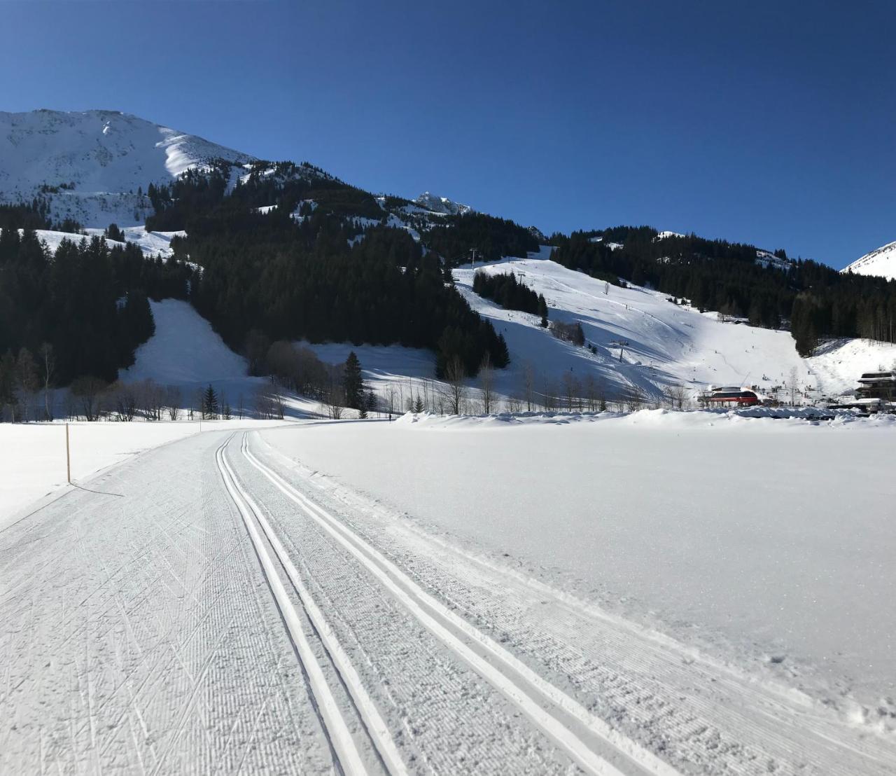 Alpinplus Zöblen Extérieur photo